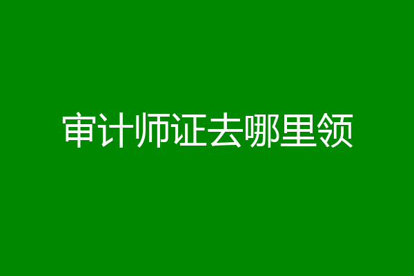 审计师证去哪里领