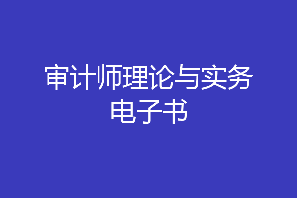 审计师理论与实务电子书