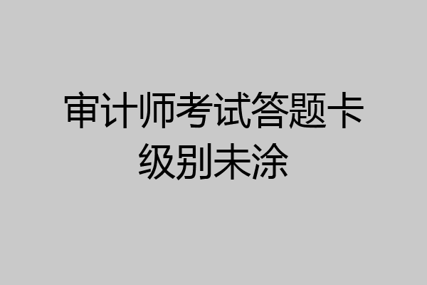 审计师考试答题卡级别未涂