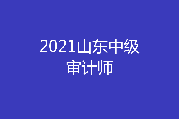 2021山东中级审计师