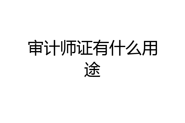审计师证有什么用途