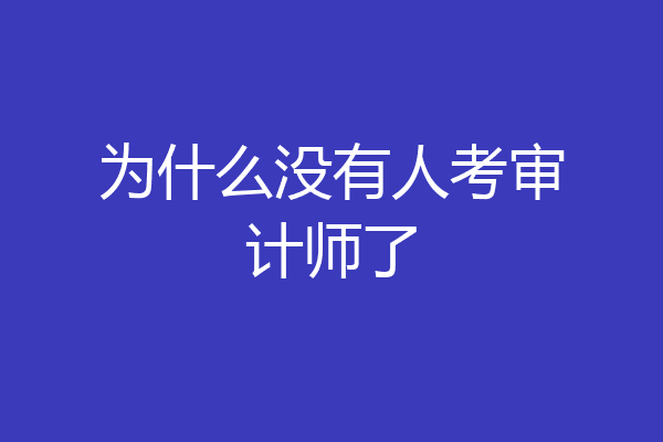 为什么没有人考审计师了