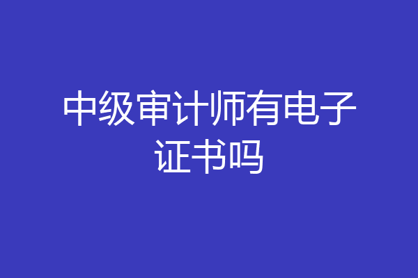 中级审计师有电子证书吗