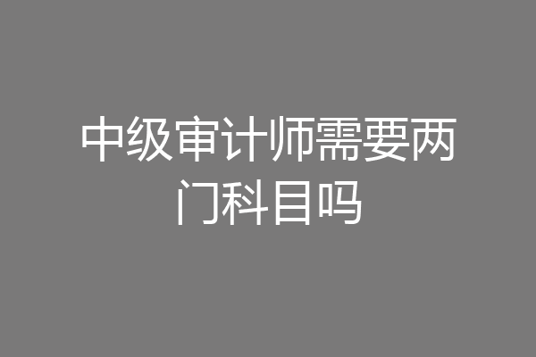 中级审计师需要两门科目吗
