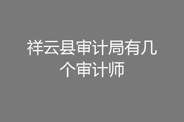 祥云县审计局有几个审计师
