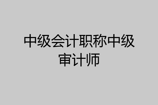 中级会计职称中级审计师