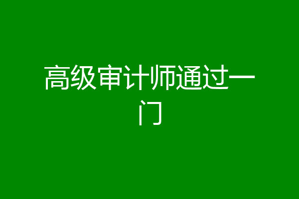 高级审计师通过一门