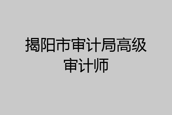 揭阳市审计局高级审计师
