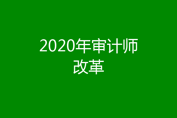 2020年审计师改革