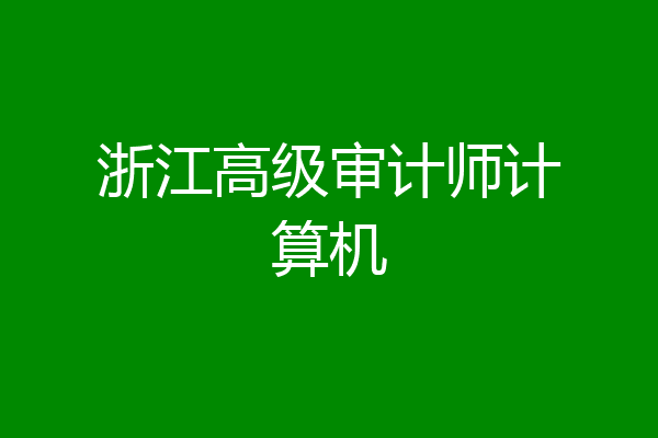 浙江高级审计师计算机