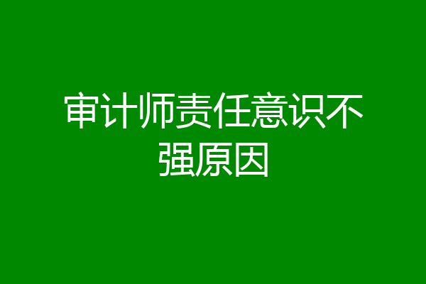 审计师责任意识不强原因