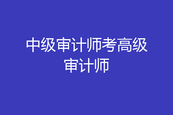 中级审计师考高级审计师