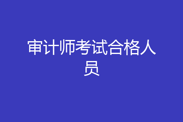 审计师考试合格人员
