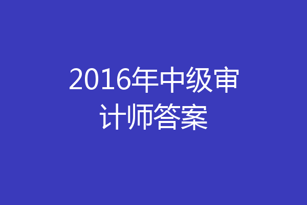 2016年中级审计师答案