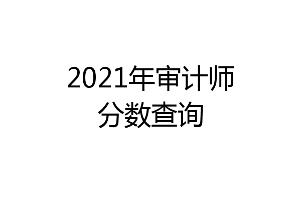 2021年审计师分数查询