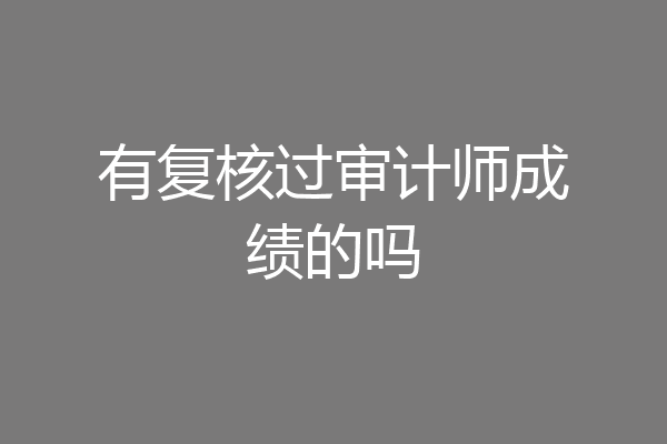 有复核过审计师成绩的吗