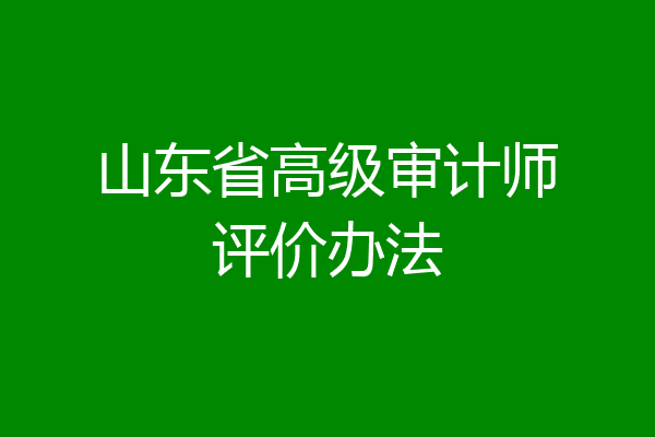 山东省高级审计师评价办法