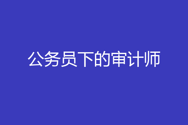 公务员下的审计师