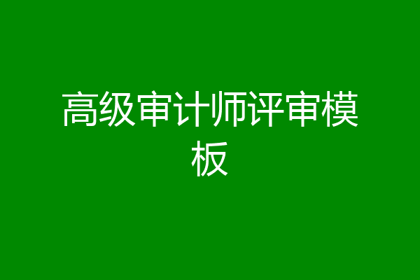 高级审计师评审模板