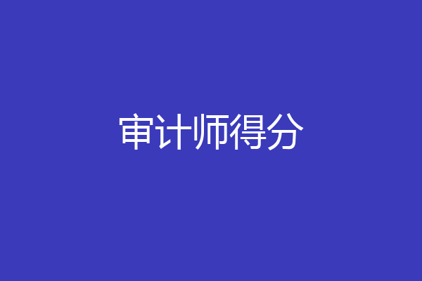 审计师得分