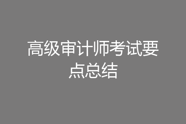 高级审计师考试要点总结