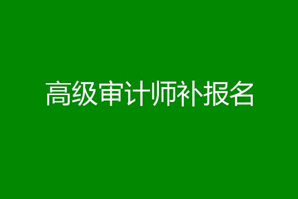 高级审计师补报名