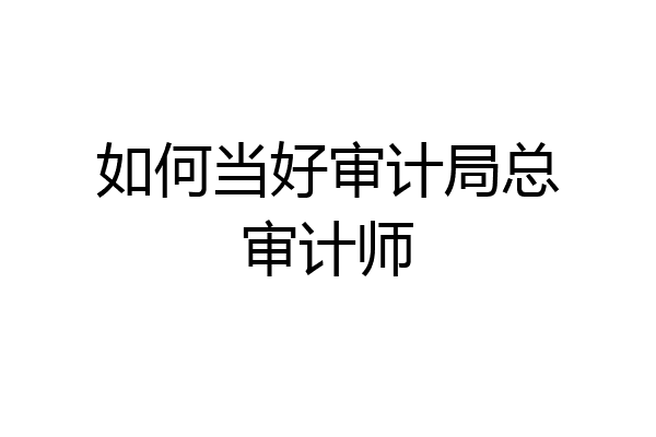 如何当好审计局总审计师