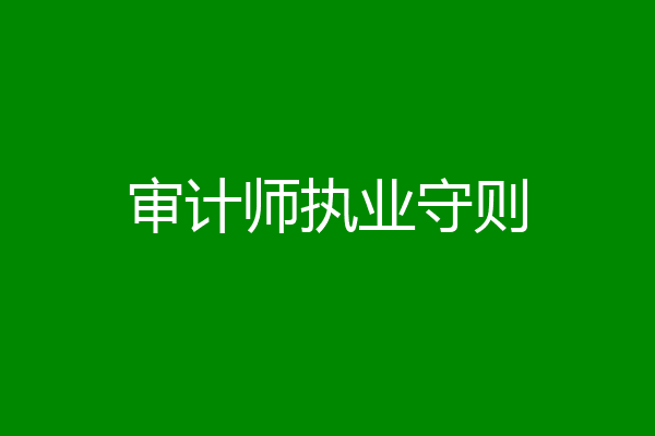 审计师执业守则