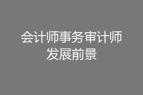 会计师事务审计师发展前景