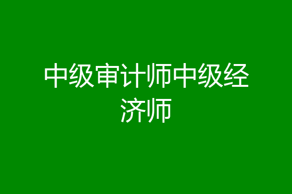 中级审计师中级经济师