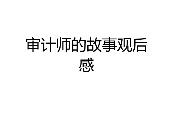 审计师的故事观后感