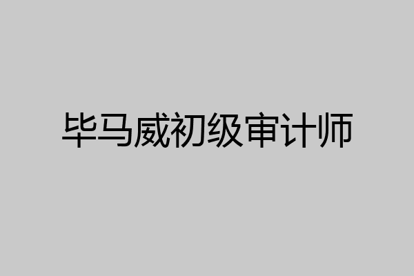 毕马威初级审计师