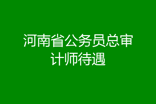 河南省公务员总审计师待遇