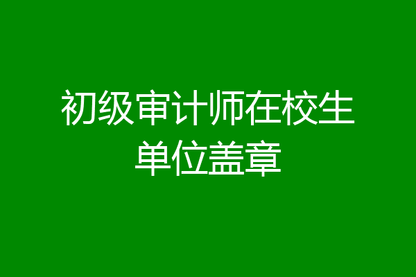 初级审计师在校生单位盖章