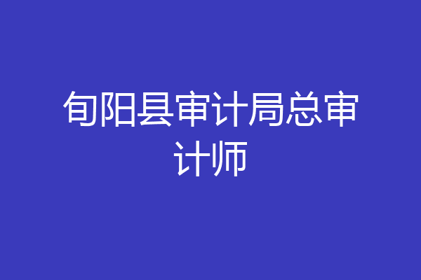 旬阳县审计局总审计师