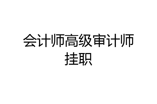 会计师高级审计师挂职