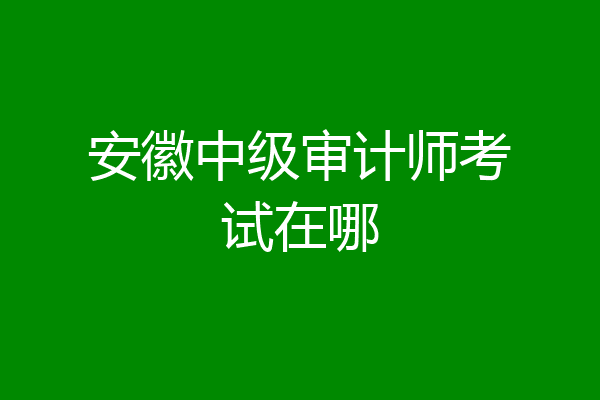 安徽中级审计师考试在哪