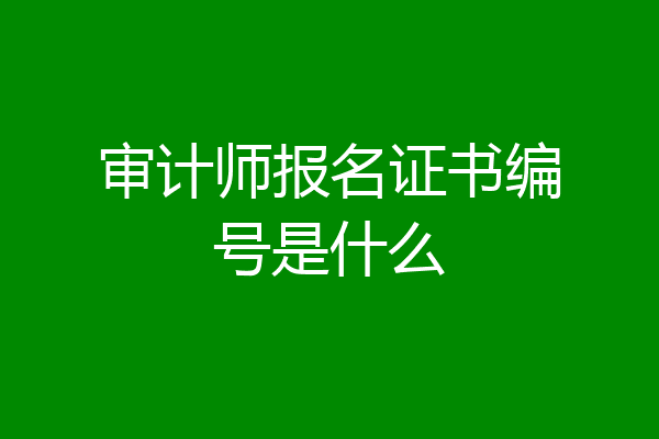 审计师报名证书编号是什么