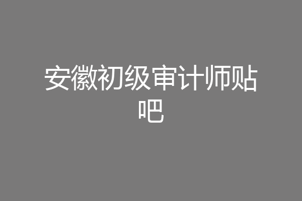 安徽初级审计师贴吧