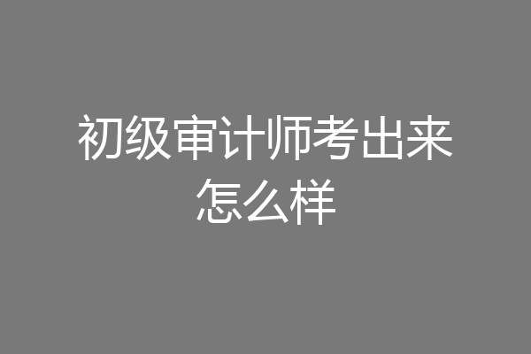 初级审计师考出来怎么样