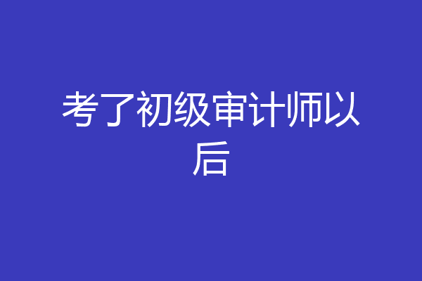 考了初级审计师以后