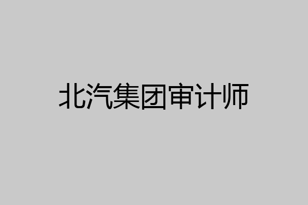 北汽集团审计师