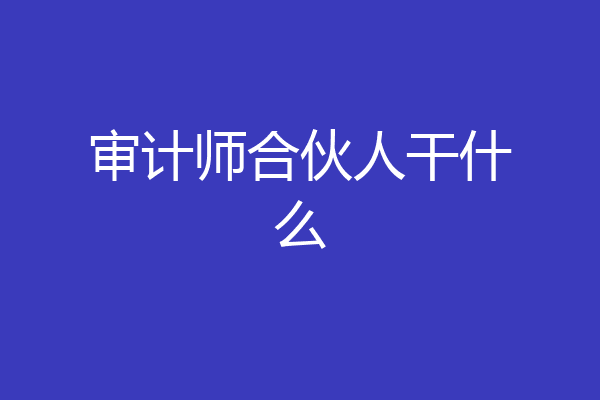审计师合伙人干什么