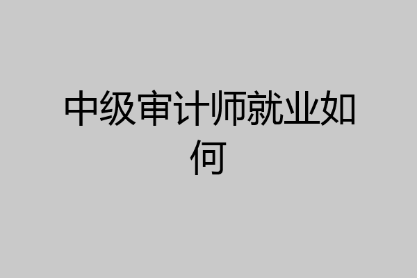 中级审计师就业如何