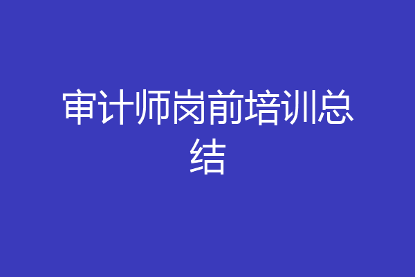审计师岗前培训总结