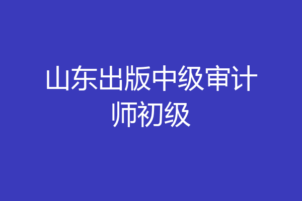 山东出版中级审计师初级
