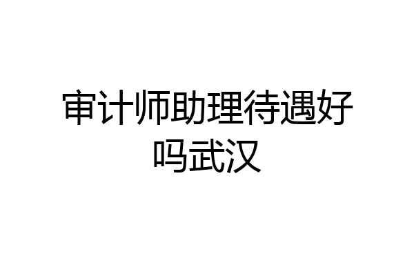 审计师助理待遇好吗武汉