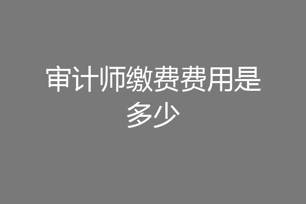 审计师缴费费用是多少
