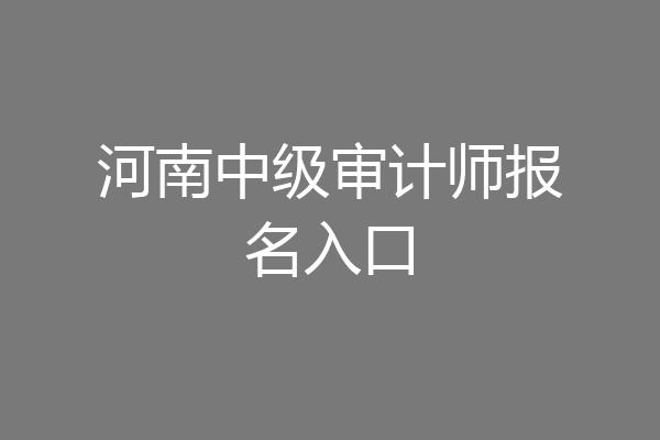 河南中级审计师报名入口