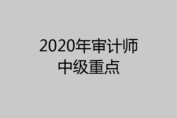 2020年审计师中级重点
